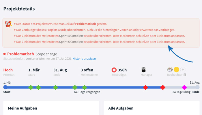 Alerts in den Projektdetails