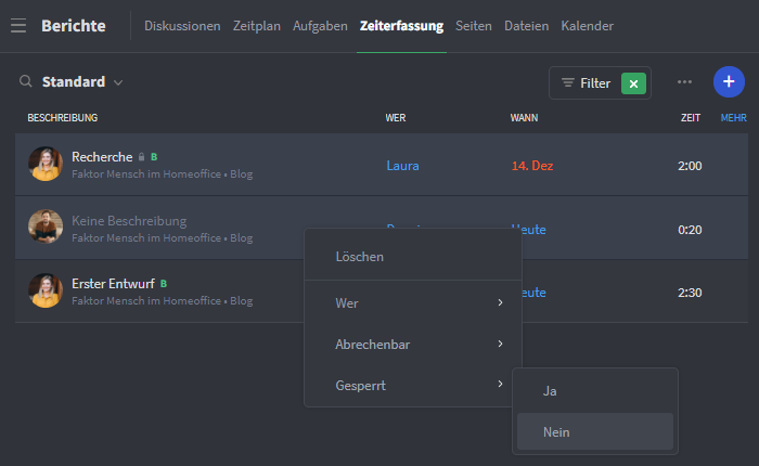 Zeiteinträge in den Berichten