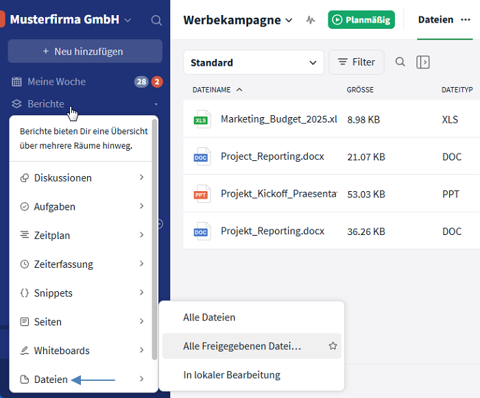 Berichte-Funktion, Übersicht über freigegebene Dateien