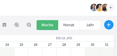 Monatsansicht im Zeitplan