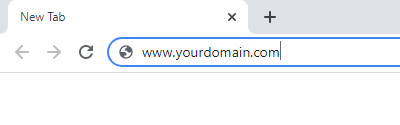 Entering your own domain in the search bar