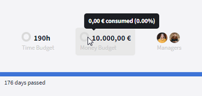 Money budget used